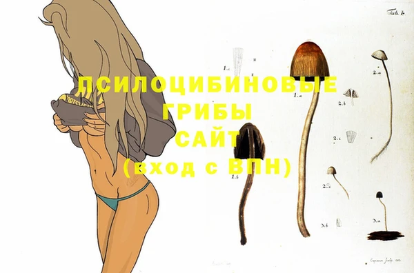 ECSTASY Россошь