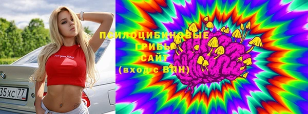 прущая мука Рославль